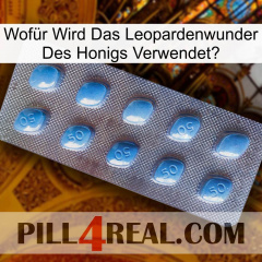Wofür Wird Das Leopardenwunder Des Honigs Verwendet viagra3